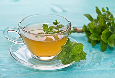 The benefits and contraindications of mint